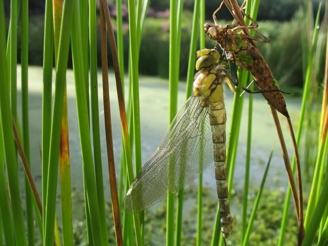 2007 08 Bois de Rochefort 09